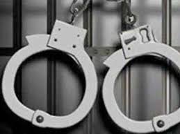 संतोष जाधव टोळीतील आरोपींकडून सात देशी बनावटीची तेरा पिस्तुले जप्त..