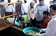 स्वछाग्रह मोहिमेच्या माध्यमातून झोपडपट्टी परिसर होणार कचरामुक्त...