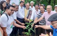 महापालिकेकडून दुर्गादेवी उद्यान टेकडीवर ७५ देशी वृक्षांची लागवड...