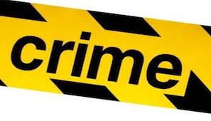 पैजेखातर तो चक्क पोलिसाच्या वाहनाला आडवा आला अनं मग पुढे झाले असे...