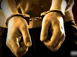 अमेझॉन कंपनीवर दरोडा घालण्याच्या तयारीतील आरोपींच्या पोलिसांनी आवळल्या मुसक्या...