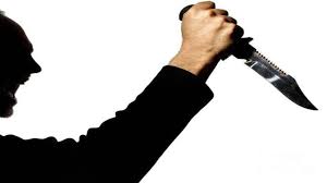 भोसरीतील बैलगाडा शर्यत आखाड्यात एकावर चाकूने हल्ला...