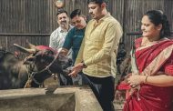 कुदळवाडीत गाय आणि वासराचे यथासांग पूजन करीत वसुबारस साजरी...