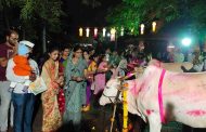 चिंचवडमध्ये वसुबारस निमित्त गाय-वासरांचे मनोभावे पूजन...