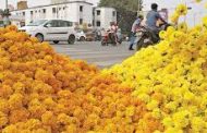 दसऱ्याच्या एक दिवस आधीच झेंडू आणि इतर फुलांनी खाल्ला भाव..