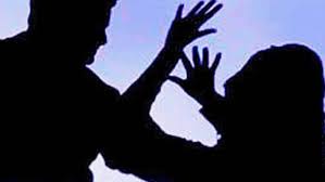 प्रॉपर्टीच्या कारणावरून जावयाकडून सासू अनं मेहुण्याला बेदम मारहाण...