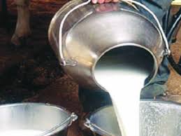 गाई, म्हशींचे दूध वाढविण्यासाठी ऑक्सिटोसीन ओैषधाचा वापर..