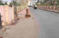 चिंचवडगाव आणि थेरगावला जोडणारा धनेश्वर पूल धोकादायक..