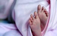 वाल्हेकरवाडीत ओढयात आढळले स्त्री जातीचे अर्भक...