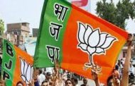 पोटनिवडणुकीसाठी भाजपाचे ४० स्टार प्रचारक...