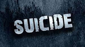 पतीच्या त्रासाला कंटाळून विवाहितेची आत्महत्या; पती गजाआड...