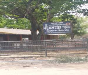 वळू माता प्रक्षेत्रातील जागा पालिका प्रशासनाकडे हस्तांतरित होणार; शासनाची मंजुरी..
