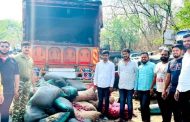 कांदा-बटाट्याच्या आडून गोमांसची वाहतूक करणारा जेरबंद...