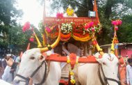 तुकोबांच्या पालखी सोहळ्यातील बैलजोडीच्या मानासाठी इच्छुक २२ शेतकऱ्यांकडून अर्ज...