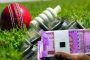 टास्क आणि क्रिप्टो करन्सीच्या नादी लागत महिलेने गमाविले अठ्ठावीस लाख...