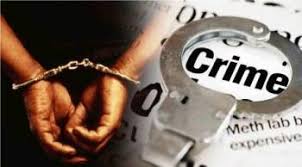 गुन्हा करण्याच्या उद्देशाने दळवीनगरमध्ये थांबलेल्या तडीपार आरोपींना सुरा व कोयत्यासह अटक...