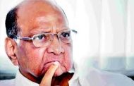 शरद पवारच राहतील पक्षाच्या अध्यक्षपदी कायम?..