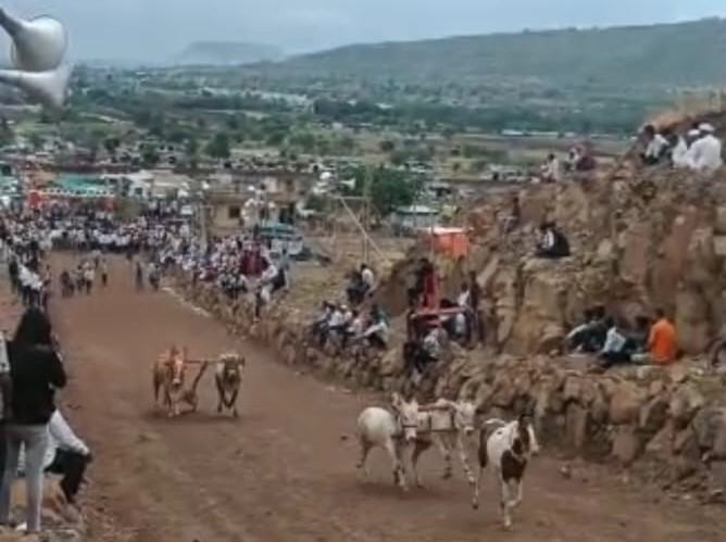 सुदुंबरे गावच्या बैलगाडा शर्यतीत यांचा गाडा ठरला घाटाचा राजा...