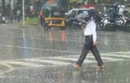 पिंपरी चिंचवड शहर आणि मावळ परिसरात पावसाची संततधार...