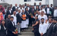 जागतिक न्याय दिनानिमित्त वकिलांच्या संघटनेकडून पिंपरीत वृक्षारोपण...