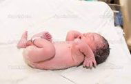 देवाच्या आळंदीत झाडाझुडपात आढळले पुरुष जातीचे अर्भक...