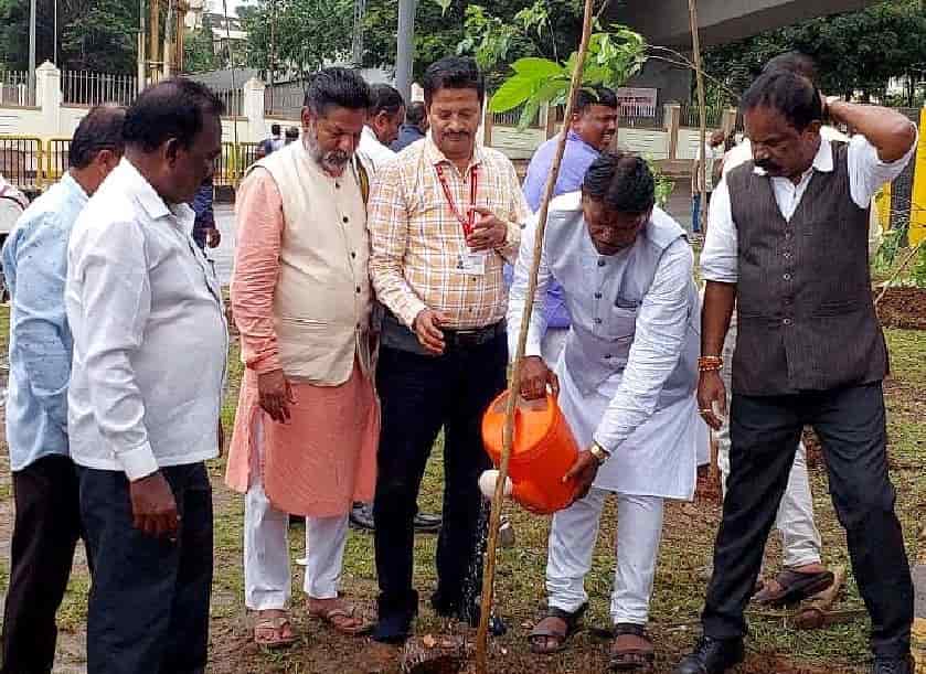 महापालिकेकडून ५०० झाडांचे वृक्षारोपण करण्याचा उपक्रम...