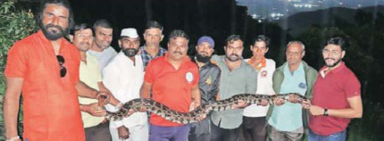 'घास कापता कापता गेली नजर अनं'...