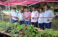 पिंपळे सौदागर येथे राष्ट्रवादीच्या वतीने शेतकरी आठवडे बाजाराचे उद्घाटन...