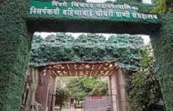 संभाजीनगरचे बहिणाबाई चौधरी प्राणी संग्रहालय लालफितीच्या कारभारात?...