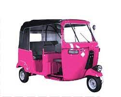 पुण्यात महिलांसाठी धावणार पिंक रिक्षा..
