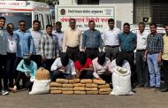 अंमली पदार्थ विरोधी पथकाकडून एकाच दिवशी गांजा विक्री करणाऱ्या टोळीचा पर्दाफाश..
