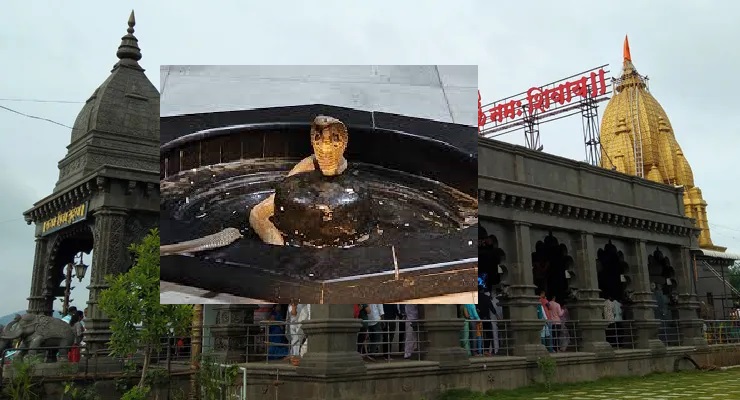 चऱ्होलीतील वाघेश्वर महाराज मंदिरात पिंडीजवळ चक्क नाग अवतरला...