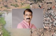 नदी प्रदूषण रोखण्यासाठी गेल्या दहा वर्षात काय केलं?..