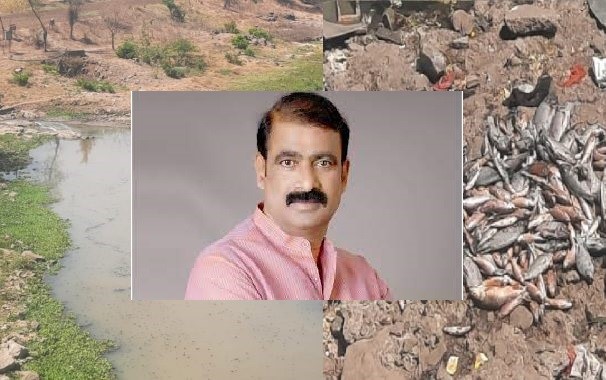 नदी प्रदूषण रोखण्यासाठी गेल्या दहा वर्षात काय केलं?..