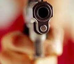 जेवायला आलेल्या तरुणावर बेधडक गोळीबार; कोयत्याने सपासप वार...