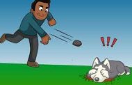 काळेवाडीत कुत्र्याला दगडं फेकून मारल्याप्रकरणी तरुणावर गुन्हा दाखल...