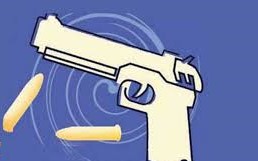 वाकडमध्ये पोलिसांची कारवाई; तरुणाकडून पिस्तुलासह काडतूस हस्तगत...