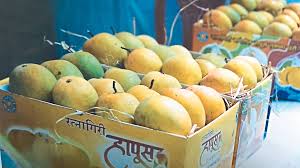 चिंचवडमध्ये आजपासून आंबा महोत्सव...