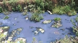 रसायनमिश्रीत पाणी नदीपात्रात सोडल्याप्रकरणी कंपनीवर महापालिकेकडून गुन्हा दाखल...