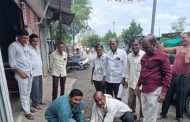स्व. उषाताई गोरे यांच्या जन्मदिनानिमित्त बनसारोळ्यात वृक्षारोपण...