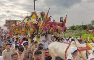 मल्हार आणि गुलाब या बैलजोडीला संत तुकाराम महाराजांच्या पालखी रथाचा मान..