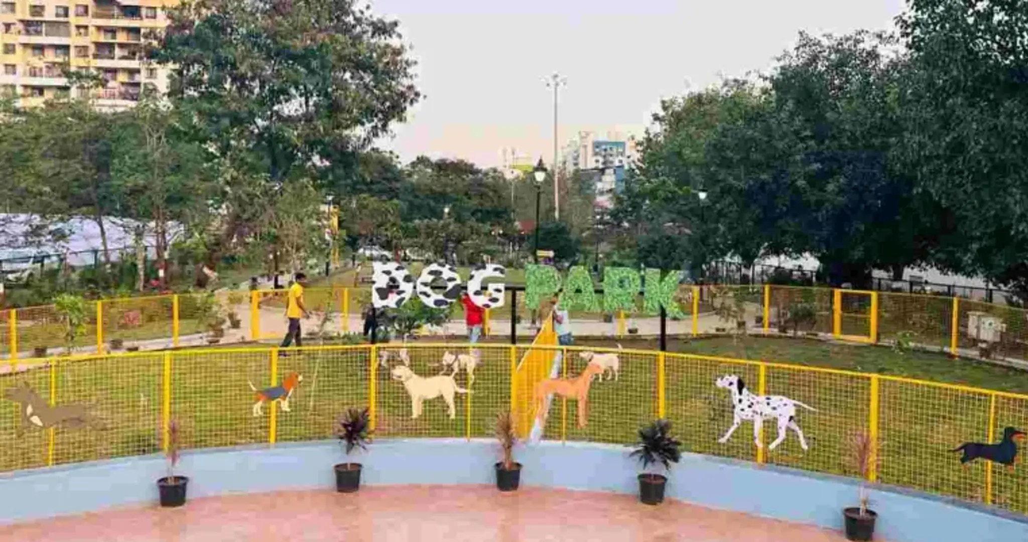 पिंपळे सौदागरचा 'डॉग पार्क' श्वानांसाठी ठरतोय आकर्षक पर्याय...