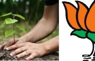 पिंपरी-चिंचवडमध्ये ७ हजार झाडे लावण्याचा शंकर जगताप यांचा संकल्प...
