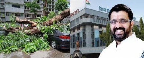 अति धोकादायक झाडांबाबतच्या तक्रारीसाठी 'ऑनलाईन पोर्टल' विकसित करणार..