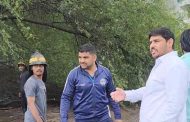 मोरे पाटील चौकातील रस्त्यावर पडलेले झाड अखेर हटविले..