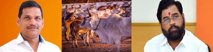 पशुधन वाचविण्यासाठी गोशाळा, पांजरपोळ संस्थांना अनुदान द्या..