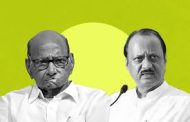 पिंपरीत राष्ट्रवादी काँग्रेसच्या अजित पवार आणि शरद पवार गटातच मुख्य लढत..