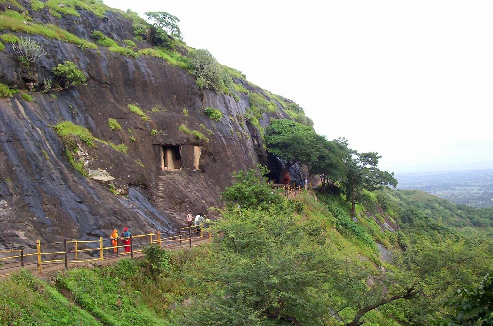 घोरावडेश्वर डोंगरावर आता निसर्ग मित्र व वनपाल गस्त घालणार...