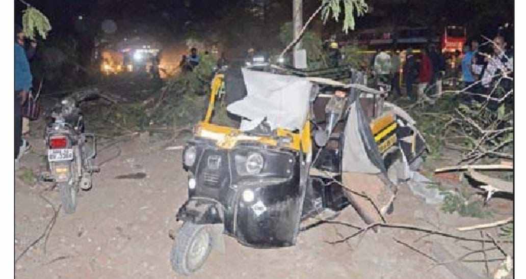 एचए कॉलनी जवळील महामार्गावर चक्क रिक्षावर पडले झाड...