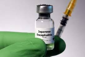 पिंपरी चिंचवडमध्ये १ मार्चपासून जापनीज एन्सेफलायटीस प्रतिबंधक लसीकरण मोहीम...